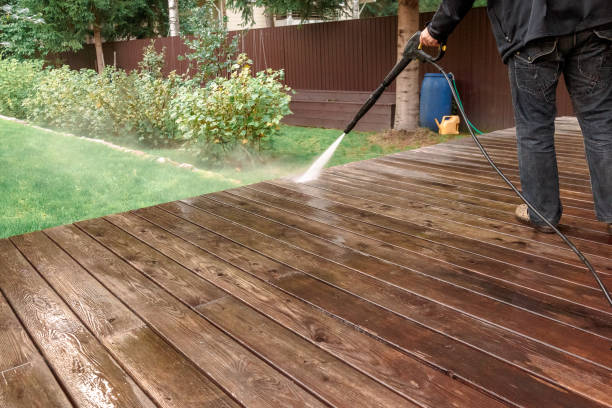 Best Animal Enclosure Cleaning  in Pinecrest, FL