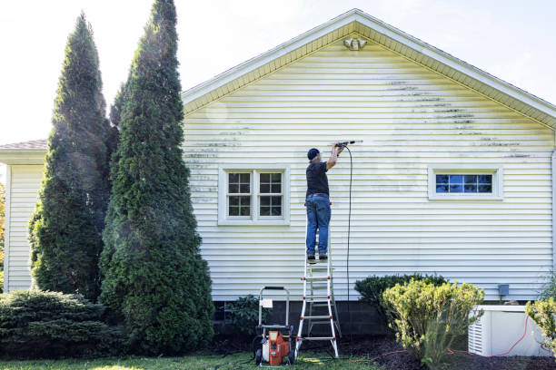 Best Solar Panel Cleaning  in Pinecrest, FL